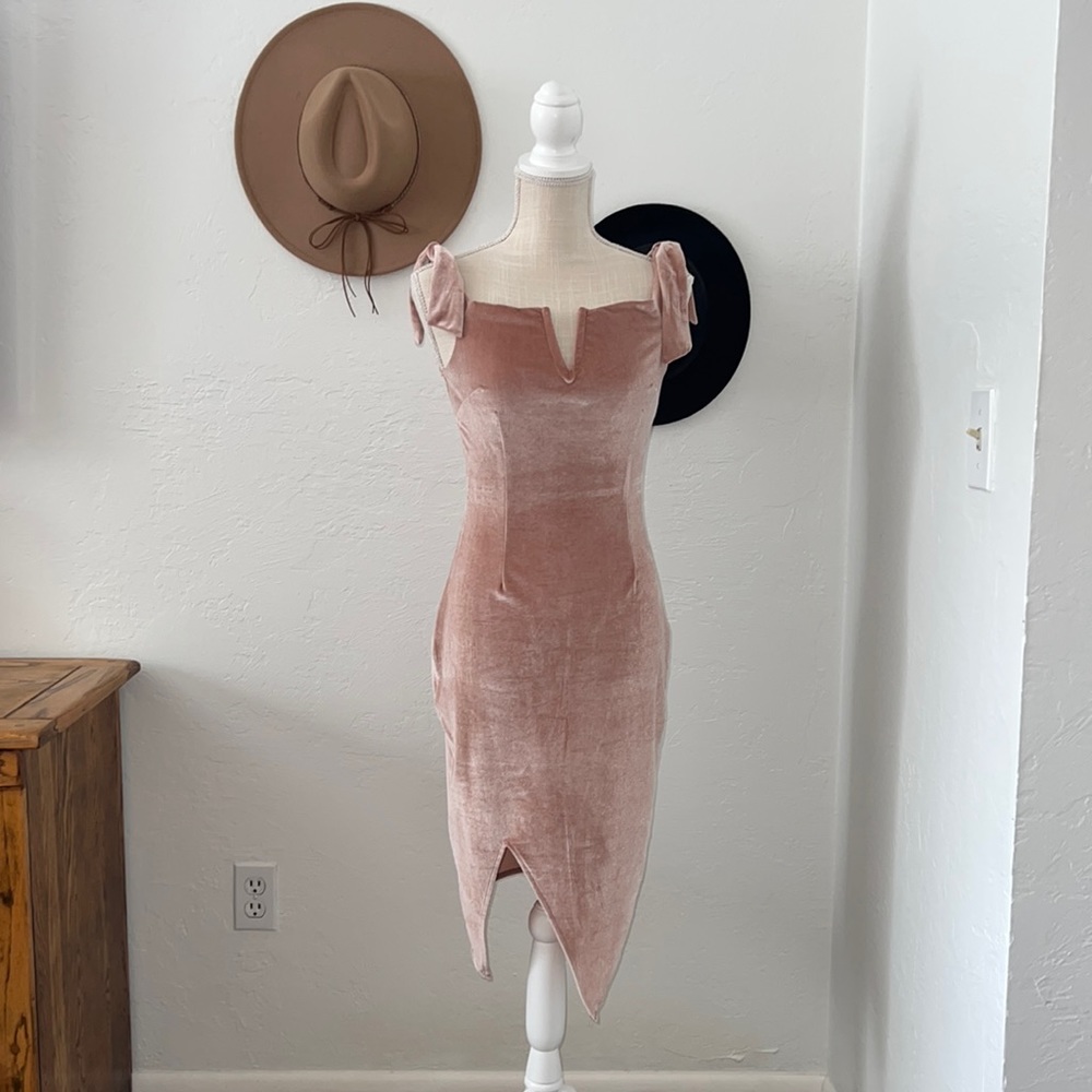 Blush velvet Parisian Dress